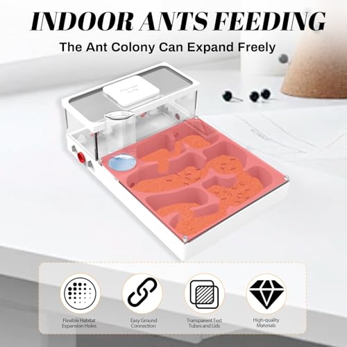 Transparent Ant Habitat – 3D Printed Mini Farm Acrylic with Expansion Ports Water Tower & Sand Nest Indoor Ant Colony Starter Kit for Beginners & Advanced Keepers (No Ants Included)