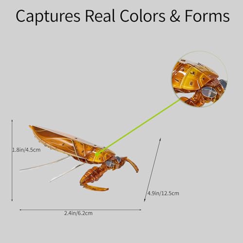 3D Acrylic Insect Puzzle DIY Bug Model Kit Animal STEM Gift - color: Giant Water Bug