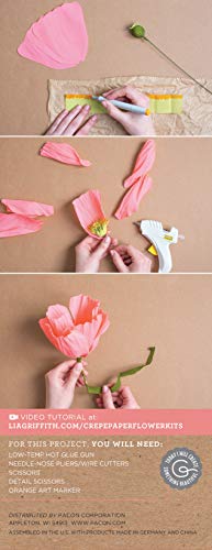 Lia Griffith LG40005 Crepe Paper Flower Kit, Icelandic Poppy, Sizes, Colors may vary 30 Count - style: Icelandic Poppy