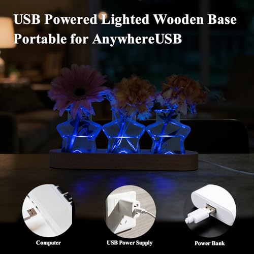 XXXFLOWER Plant Propagation Station with LED Light Wooden Base 3 Star Vases - color: LED Light