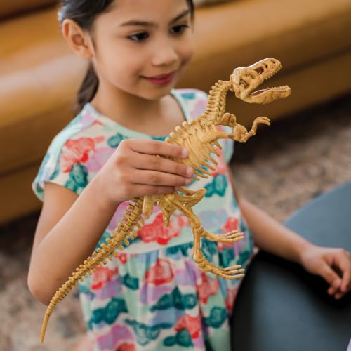 Dig It Up! T‑Rex Excavation Kit – 3D Dinosaur Skeleton STEM Toy