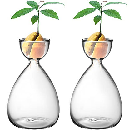 2pcs Small Avocado Seed Starter Vase, Avocado Tree Growing Kit, Avocados Glass Plant Pot Vase Gifts for Gardening Lovers (2pc Avocados vases)