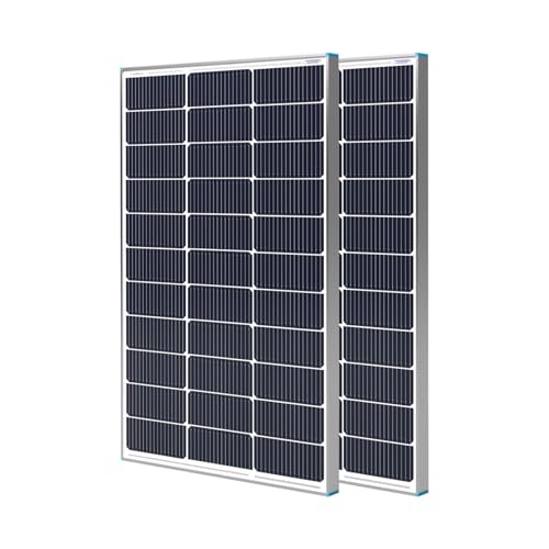 Renogy 200W Solar Panel N-Type, 16BB 25% High-Efficiency - size: 100 W N-Type 2-Pack Solar Panel