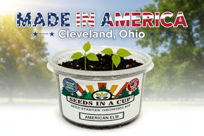 Coffee Arabica Tree Seed Starter Grow Kit (Real Houseplant) - Premium Nutrient-Rich Soil (No Discs) & Recyclable Planters - USA-Made Indoor Gardening Gift for Coffee Lovers & Baristas - style: Coffee Arabica Tree
