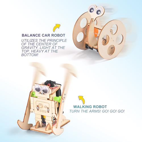 5-in-1 STEM Kit for Kids Ages 6-8 8-10, Wood Robot Building Science Kits