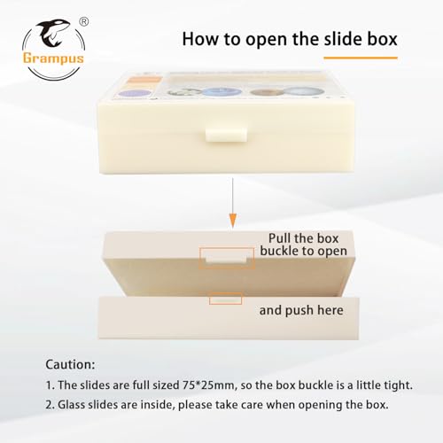 30 Prepared Microscope Slides with Specimens for Kids Students - Animals Plants Insects Microorganism, for Biological Science Lab, Children's Science Education, Homeschool - style: 30PCS Mixed