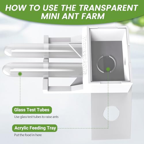 Transparent Mini Ant Farm with Dual Test Tubes for Thriving Ant Colony Observation - color: white