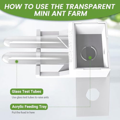 Transparent Mini Ant Farm with Dual Test Tubes for Thriving Ant Colony Observation - color: white