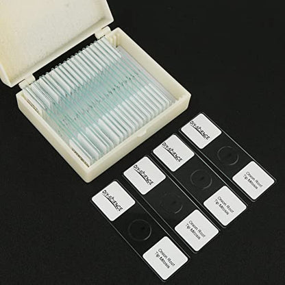 Onion Root Tips Mitosis Microscope Slides Set, 25PCS Pack Slides Show Plant Mitosis for Biology Science Class (25 Count) - color: 25 count