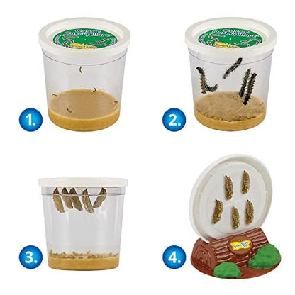 Insect Lore Butterfly Farm with Pre-Paid Voucher to Redeem Caterpillars - Ultra-Clear Dome Habitat, STEM Journal, Chrys-A-Lid Holder - Give the Gift of Raising Painted Lady Butterflies