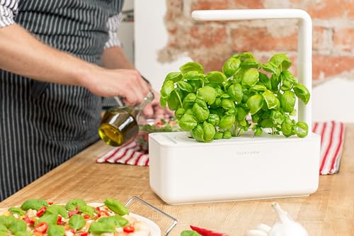 Click & Grow Indoor Herb Garden Kit with Grow Light | Smart Garden for Home Kitchen Windowsill | Easier Than Hydroponics Growing System | Vegetable Gardening Starter (3 Basil Pods Included), White - color: White