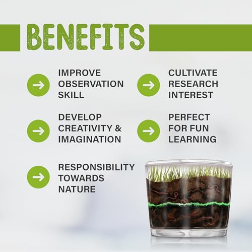 Worm Farm for Kids Kit with 20 Live Worms, Food, Book, All-in-One Bundle - style: Farm+Live Worms+Book+Food