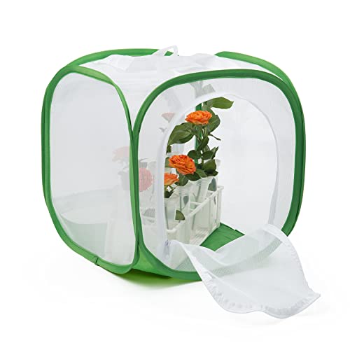 Two Doors Monarch Butterfly Habitat, Insect Mesh Cage, Caterpillar Enclosure Terrarium Pop-up (12 X 12 X 12 Inches) - size: 12 X 12 X 12 Inches