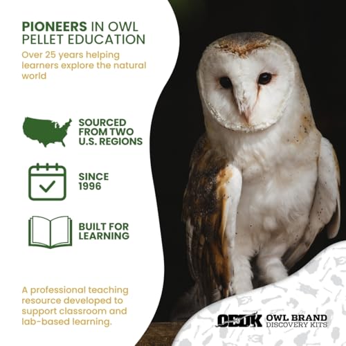 Barn Owl Pellets for Dissection, Solo Essentials Kit, Large 1-Pack by OBDK - size: Jumbo (2.5 inches and Larger)