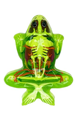Dissect-It, Premium Frog Dissection Kit, STEM Toys for Kids, Ages 6+