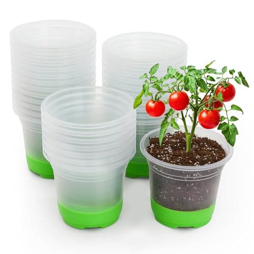 MIXC Clear Nursery Pots with Silicone Base, 5-Inch, 30-Pack - color: Green, size: 5 Inch