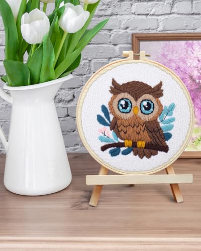 ERKOON Punch Needle Kit for Beginners Adults, DIY Easy Animal Embroidery Set for Starter Art Craft, Needling Punch Project with Patterns, Tools, Yarns, Hoop, Instruction (Owl) - color: Owl