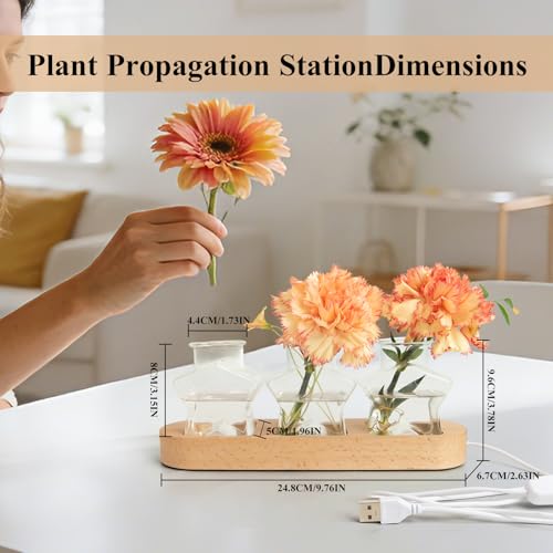 XXXFLOWER Plant Propagation Station with LED Light Wooden Base 3 Star Vases - color: LED Light