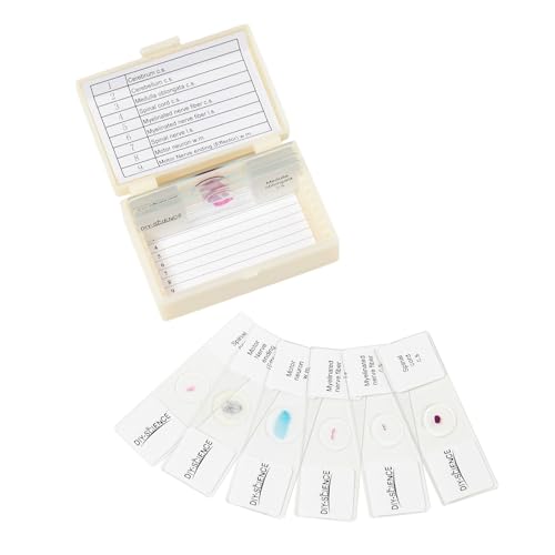 Nervous System Prepared Microscope Slides Set, 9 Pack Nerve Fiber, Motor Neuron, Spinal and More Typical Nervous System Specimens for Biology Science Class