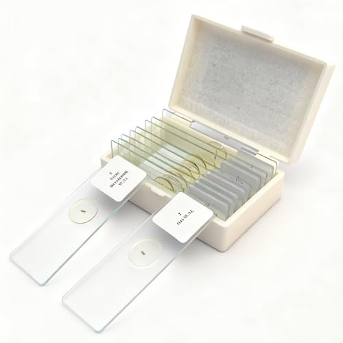 10 Prepared Whole Microscope Slides Set