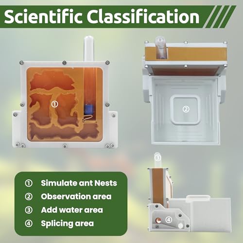 3D Printed Ant Farm Terrarium, Orange Acrylic Housing, Multi-Level Design, Educational Formicarium with Test Tubes for Small Ant Colony