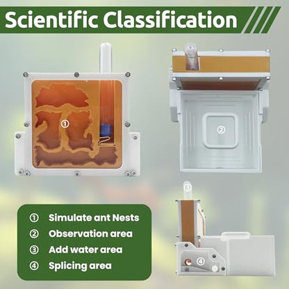 3D Printed Ant Farm Terrarium, Orange Acrylic Housing, Multi-Level Design, Educational Formicarium with Test Tubes for Small Ant Colony
