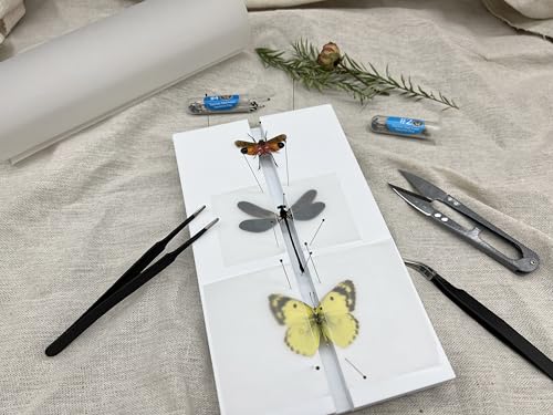 Making Insect Specimen Tools Kit - Insect Pins, Shadow Box, Pinning Board, Wings Pressing Paper, Tweezers, Scissors - Collection Display for Bug Hobbyists/Biology Projects