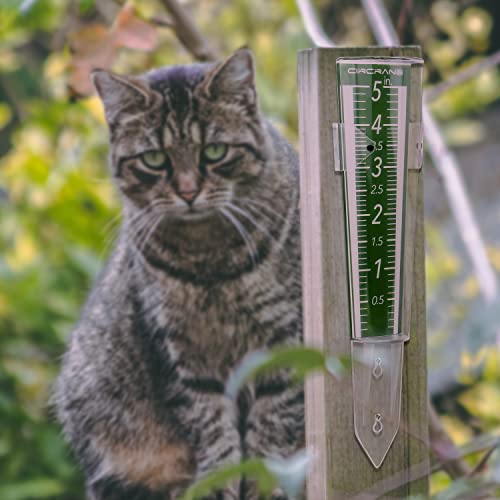 Circrane 5-Inch Capacity Outdoor Rain Gauge with Additional Hang Bracket& Stainless Steel Screws, Magnifying Scale and Numbers Design for Easy Read (Green) - color: Green