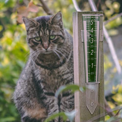 Circrane 5-Inch Capacity Outdoor Rain Gauge with Additional Hang Bracket& Stainless Steel Screws, Magnifying Scale and Numbers Design for Easy Read (Green) - color: Green