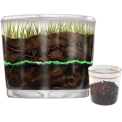 Worm Farm for Kids Kit with 20 Live Composting Worms, All-in-One Bundle - style: Farm+Live Worms