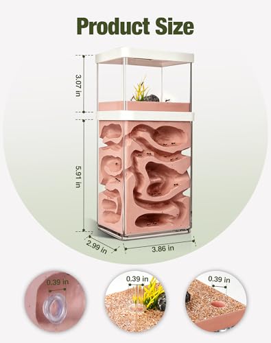 Plaster Ant Habitat with Dual-Zone Nest, 360° Observation, Built-in Expansion Ports for Colony Connection, Ideal for Ant Keeping, Scientific Observation & Student Learning