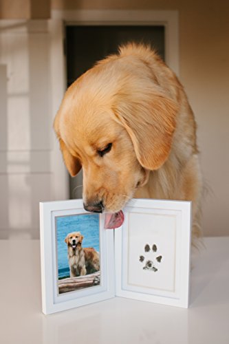 Pearhead Pet Pawprints Desk Picture Frame, Pet Memorial Keepsake, White Photo Frame For Pet, Imprint Kit - color: Pawprints White Tabletop Picture Frame
