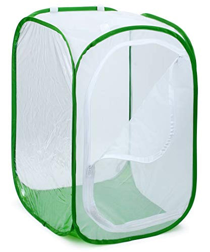RESTCLOUD 36" Large Monarch Butterfly Habitat, Giant Collapsible Insect Mesh Cage Terrarium Pop-up 24 x 24 x 36 Inches - color: White with Green