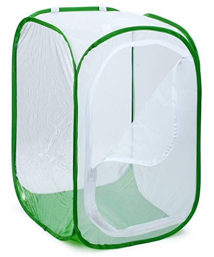 RESTCLOUD 36" Large Monarch Butterfly Habitat, Giant Collapsible Insect Mesh Cage Terrarium Pop-up 24 x 24 x 36 Inches - color: White with Green