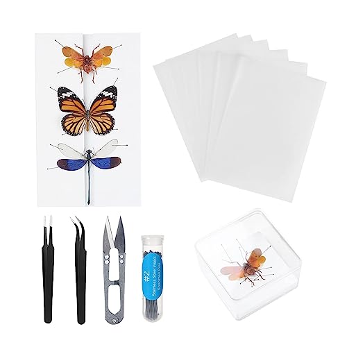 Making Insect Specimen Tools Kit, Insect Pins,Insect Pinning Board, Wings Pressing Paper,Tweezers, Scissors, Insect Display Case, Insect Collection for Bug Hobbyist/Biology Projects - size: Display Case Box Kit