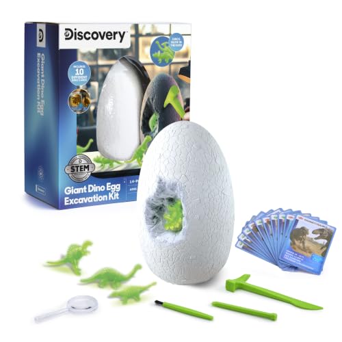 Discovery™ Giant Dino Egg Excavation Kit