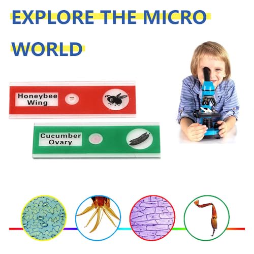 60pcs Prepared Microscope Slides for Kids, Microscope Specimen Slides with Plants Insects for Biology and Science Study, Microscope Accessories Slides Set for Kids - size: 60pcs
