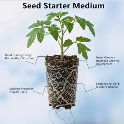 10 Set Seed Starter Cup Kit with Dome,Self Watering Propagation Cups