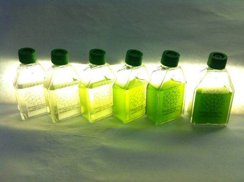 Algae Research Supply Algae Culture Kit Spirulina, Perfect for School Science Fairs/Projects, Experiments & Classrooms