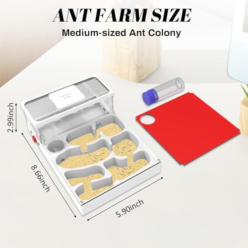 Transparent Ant Habitat – 3D Printed Mini Farm Acrylic with Expansion Ports Water Tower & Sand Nest Indoor Ant Colony Starter Kit for Beginners & Advanced Keepers (No Ants Included)