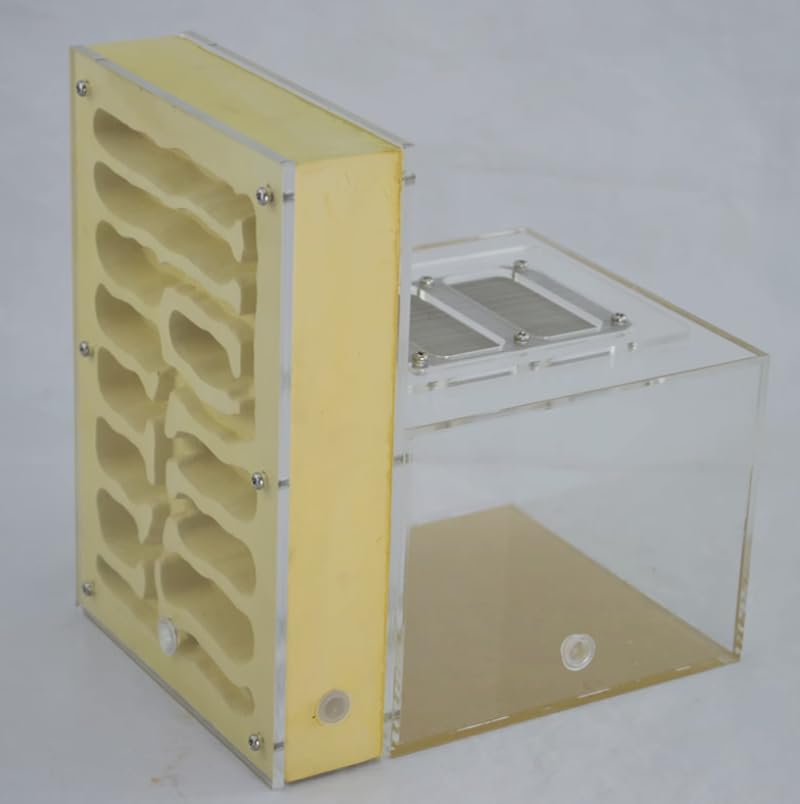 Cave Tower Plaster Ant Farm with Outworld and 10 mm Ports