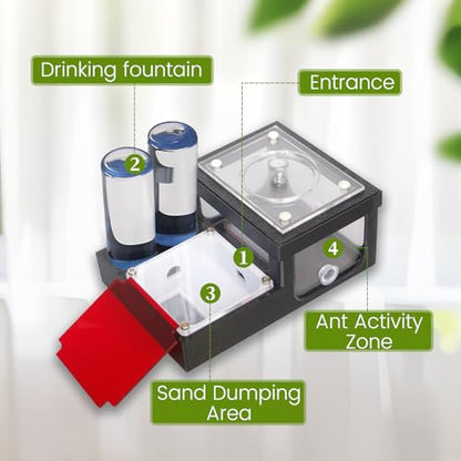 Ant Farm Nest - Educational Habitat - Black and White Acrylic Design with Built-in Water Tower and Clear Observation Area (S) - size: S