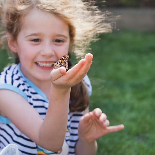 Insect Lore Butterfly Garden Kit – Live Caterpillar Habitat with Pre-Paid Voucher and Pop-Up Habitat– STEM-Accredited Butterfly Growing Kit for Kids, Classrooms, and Homeschool Learning