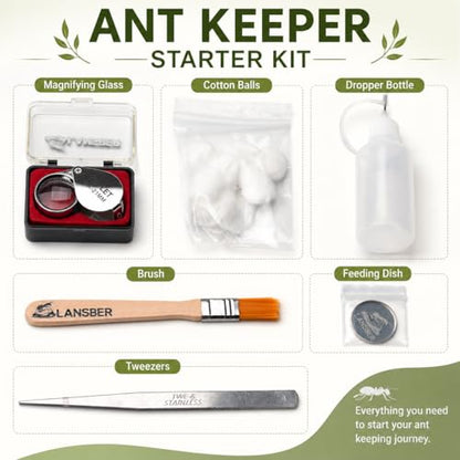 StackCore Stackable Series - Black Habitat PRO Combo (Flat Ant Nest) with Starter Tool Kit - size: Black Habitat Pro Combo