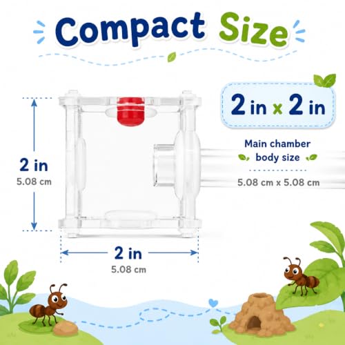 Mini Queen Ant Nest with Test Tube 2 x 2 x 2 Inch 18X180MM Transparent Acrylic Ant Farm for Small Colonies Starter Habitat Observation Formicarium - size: 18mm