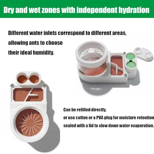 Mini Flat Ant Nest – Acrylic 3D Printed Gypsum Habitat, Formicarium with Dry/Wet Separation, No Assembly Required, Beginner-Friendly, Includes Tool Kit