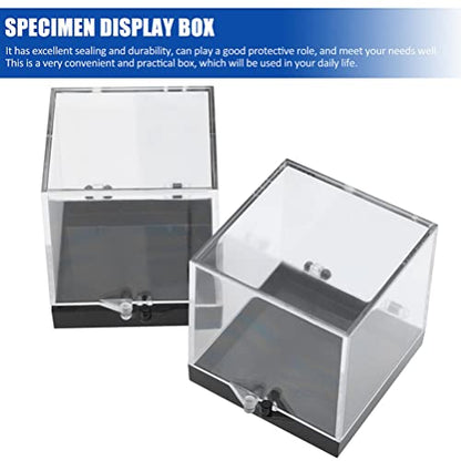 DOITOOL 12 Pack Mineral Specimen Storage Boxes Clear Plastic Specimen Display Cases 1.37 Inch Square Rock Display Containers for Home Collecting and Scientific Use
