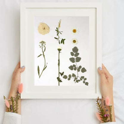 Dried Flowers for Resin - size: 80 pcs White Dried Flowers