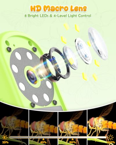 Bug Catcher for Kids,Kids Microscope,3-in-1 Insect Catching Kit for Kid - color: light green