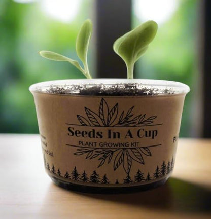 Rhubarb Vegetable Seed Starter Grow Kit, Made in USA, All-in-one Seed Starter Kit Seeds In A Cup® Come with Our Seeds Growth Promise.